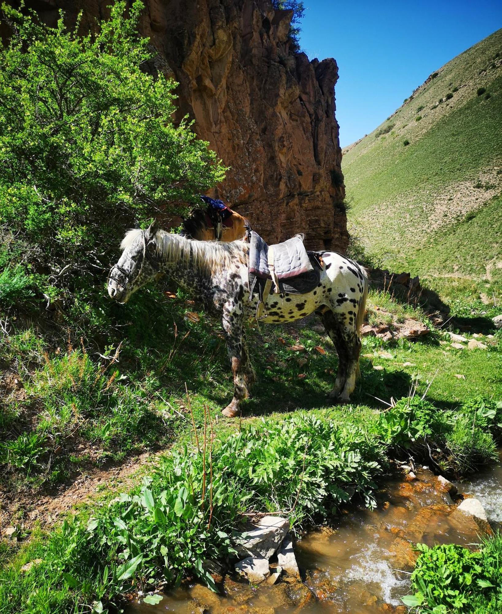 Guest House Bereke In Kyzart Village Bagysh Екстер'єр фото